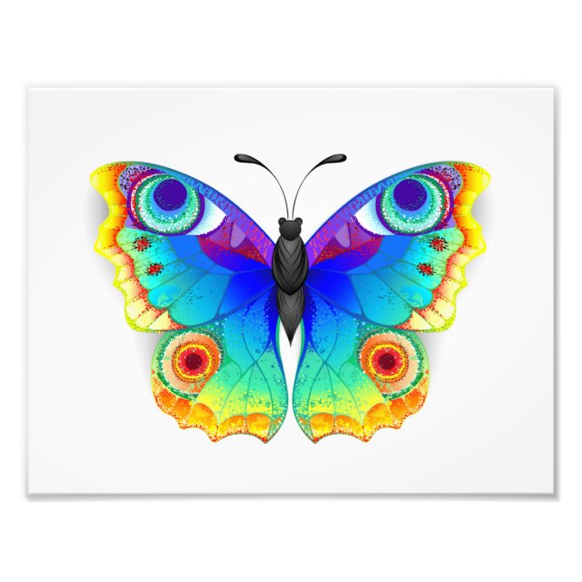 Rainbow Butterfly Peacock Eye Fotodruck (Vorne)