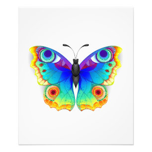 Rainbow Butterfly Peacock Eye Fotodruck