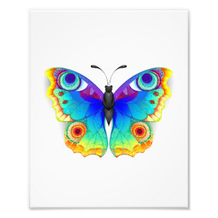 Rainbow Butterfly Peacock Eye Fotodruck