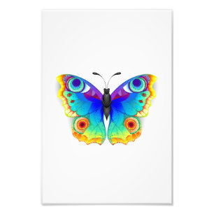 Rainbow Butterfly Peacock Eye Fotodruck