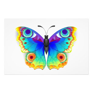 Rainbow Butterfly Peacock Eye Fotodruck