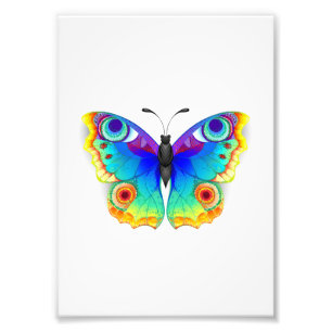 Rainbow Butterfly Peacock Eye Fotodruck