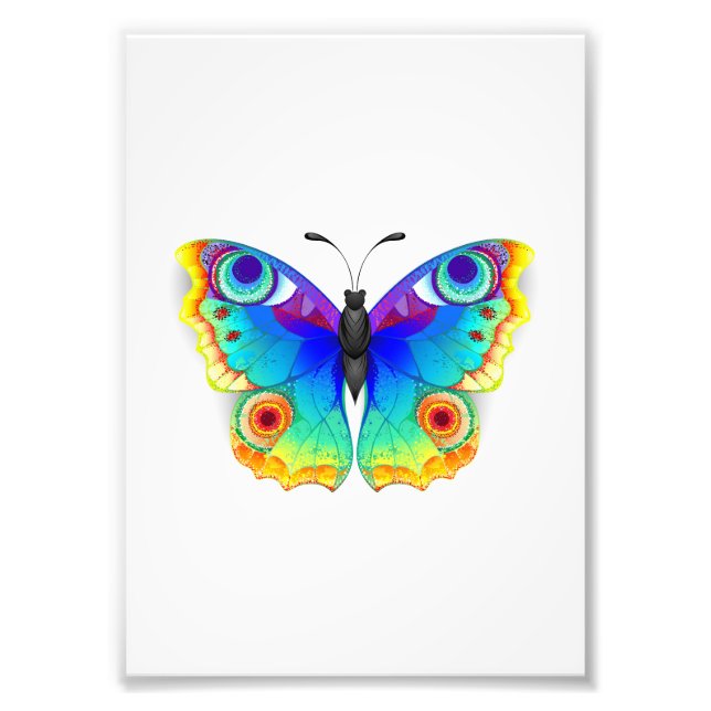 Rainbow Butterfly Peacock Eye Fotodruck (Vorne)