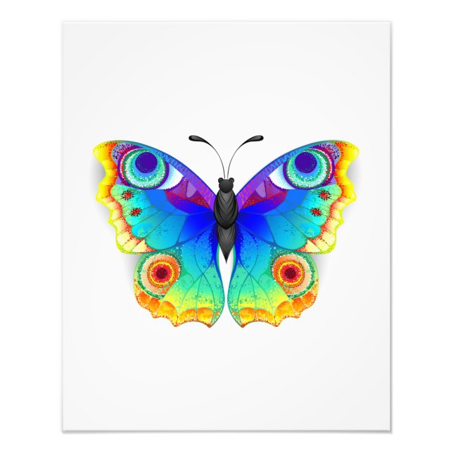 Rainbow Butterfly Peacock Eye Fotodruck (Vorne)