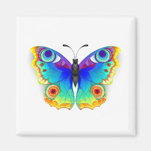 Rainbow Butterfly Peacock Eye Magnet