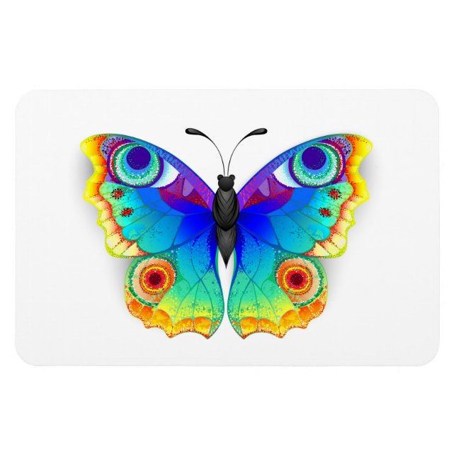 Rainbow Butterfly Peacock Eye Magnet (Horizontal)
