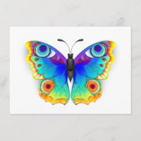 Rainbow Butterfly Peacock Eye