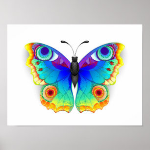Rainbow Butterfly Peacock Eye Poster