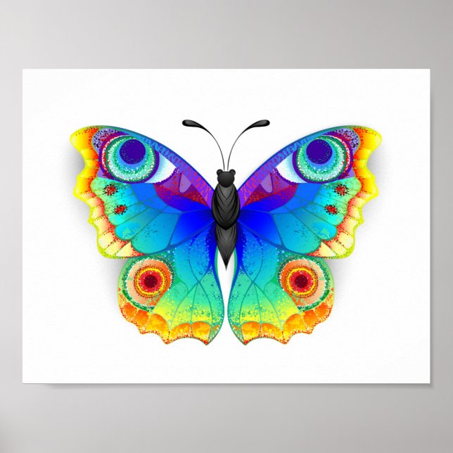 Rainbow Butterfly Peacock Eye Poster (Vorne)
