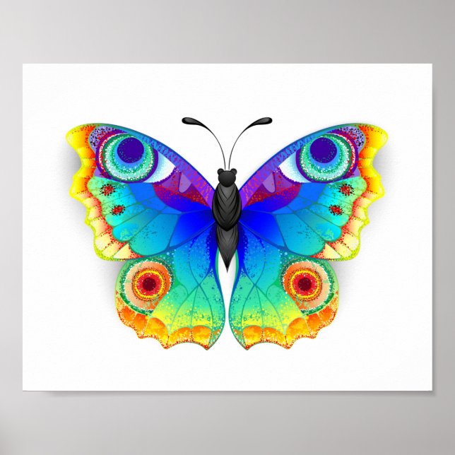 Rainbow Butterfly Peacock Eye Poster (Vorne)