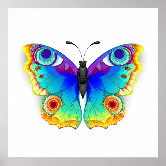 Rainbow Butterfly Peacock Eye Poster (Vorne)