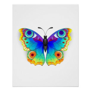 Rainbow Butterfly Peacock Eye Poster