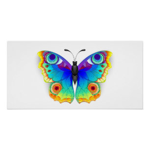 Rainbow Butterfly Peacock Eye Poster