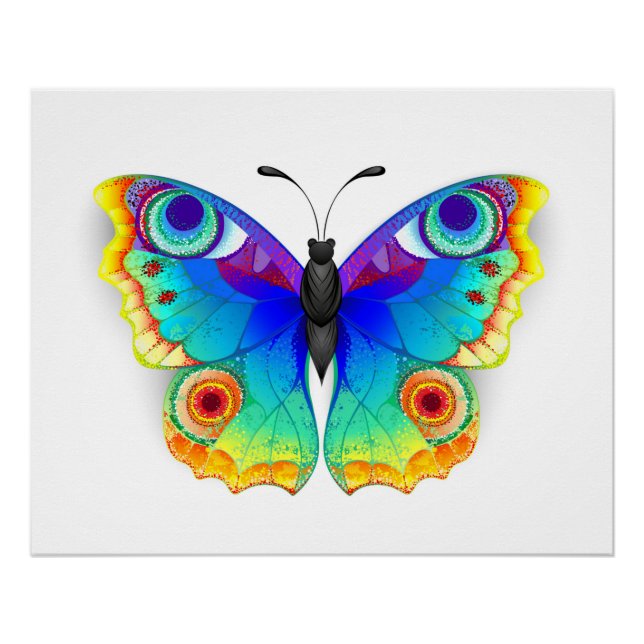 Rainbow Butterfly Peacock Eye Poster (Vorderseite)