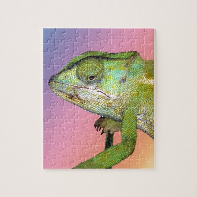 Rainbow Chameleon (Vertikal)