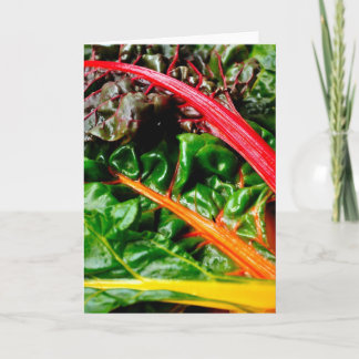 Rainbow Chard Karte