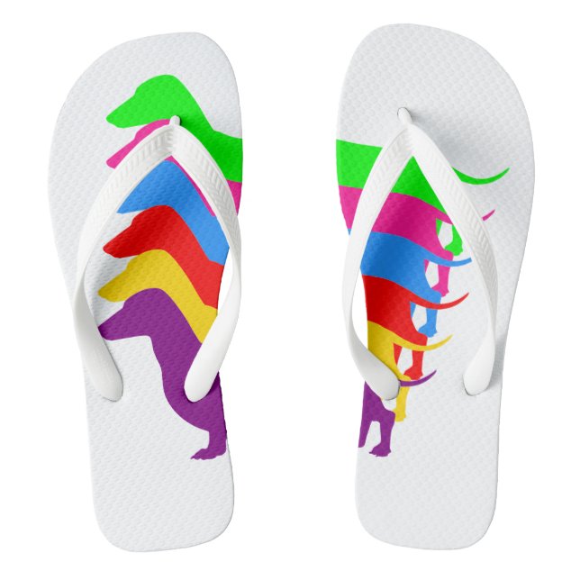 Rainbow Dackel Flip Flops (Fußbett)