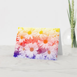 Rainbow Daisies Karte