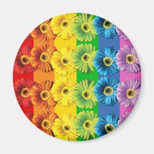 Rainbow Daisies Magnet