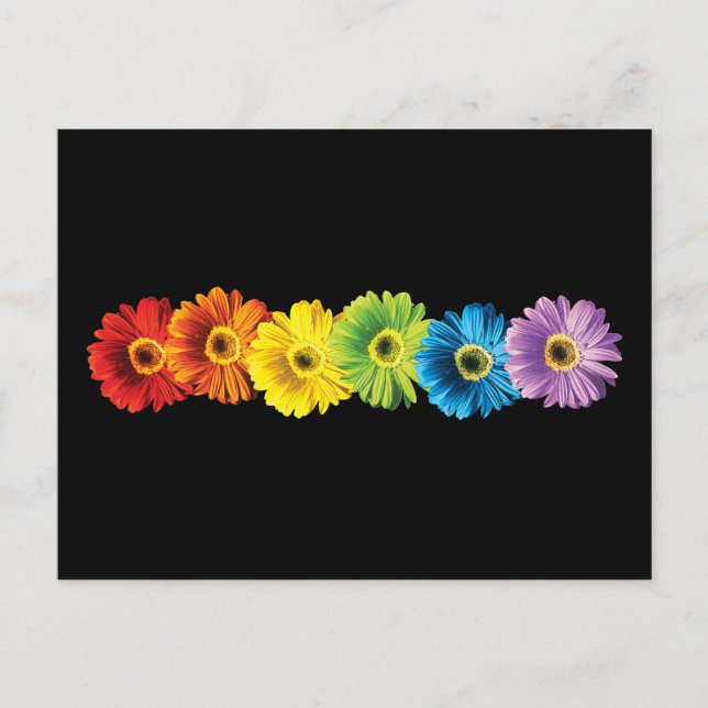 Rainbow Daisies Postkarte (Vorderseite)
