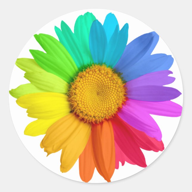 Rainbow Daisy Runder Aufkleber (Vorderseite)