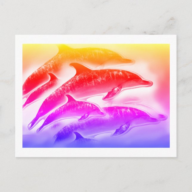 Rainbow-Delfine Art Postkarte (Vorderseite)