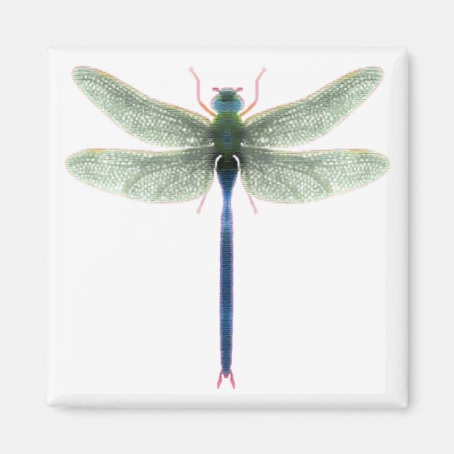 Rainbow Dragonfly Square Magnet (Vorne)