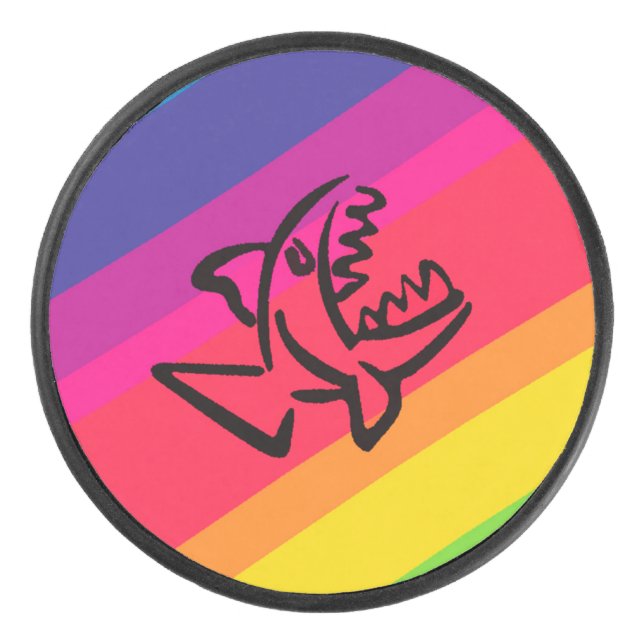 Rainbow Eishockey Puck (Vorderseite)