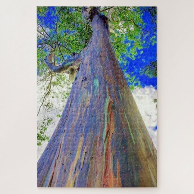 Rainbow Eucalyptus (Vertikal)