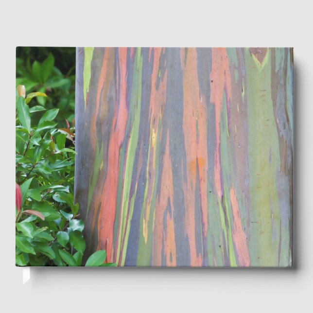 Rainbow Eucalyptus Tree Gästebuch (Vorderseite)