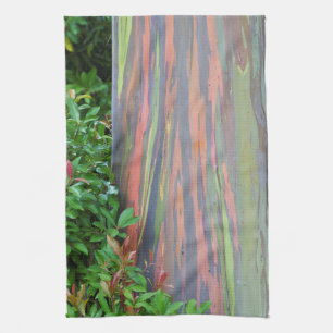 Rainbow Eucalyptus Tree Geschirrtuch
