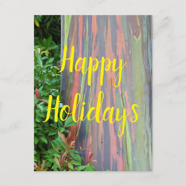 Rainbow Eucalyptus Tree Happy Holidays Postkarte (Vorderseite)