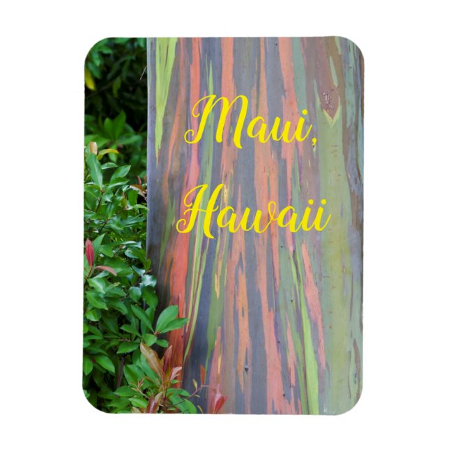 Rainbow Eucalyptus Tree Maui, Hawaii Magnet (Vertikal)
