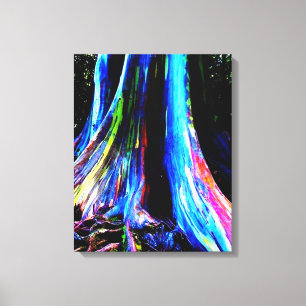 RAINBOW EUCALYPTUS TREM Leinwand