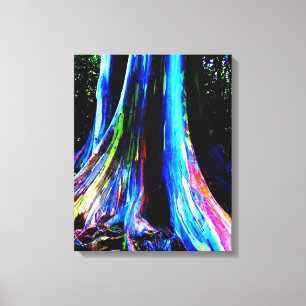 RAINBOW EUCALYPTUS TREM Leinwand