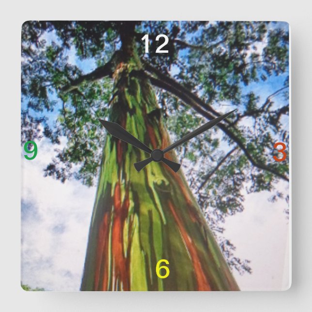 Rainbow Eukalyptus Tree Wall Uhr (Vorderseite)