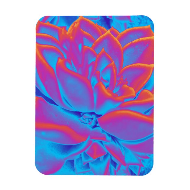 Rainbow-Farbe Sukkuläre Pflanze Magnet (Vertikal)