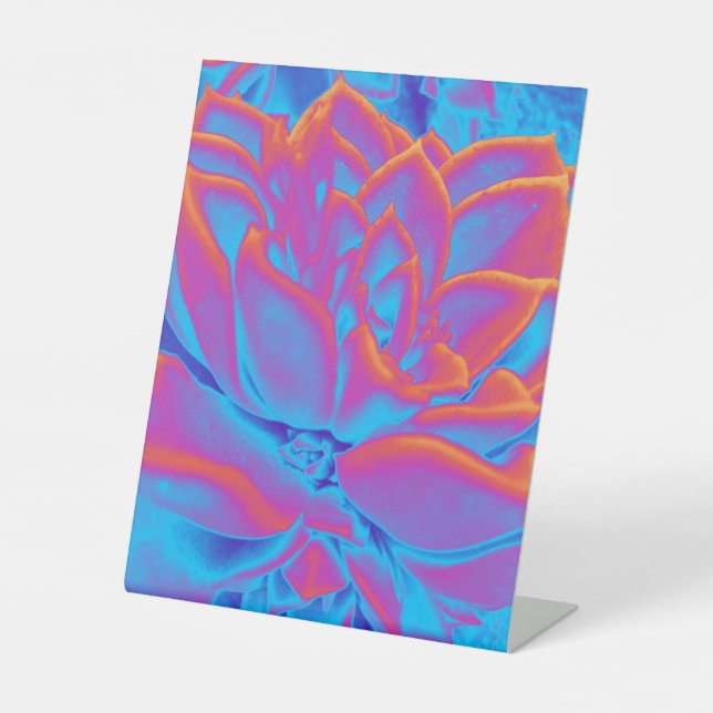 Rainbow-Farbe Sukkuläre Pflanze Sockelschild (Vorderseite)