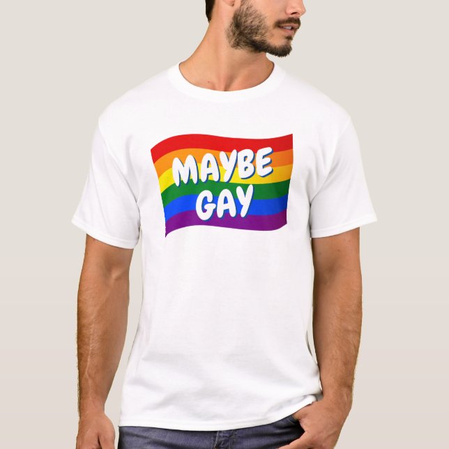 Rainbow Flag Vielleicht Gay vielleicht nicht schwu T-Shirt (Vorderseite)