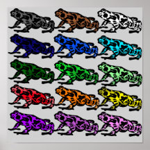 Rainbow Frosch Chart