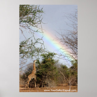 Rainbow & Giraffe Poster / Print (bis zu 35x52 Zol