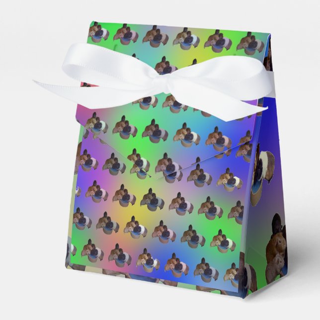 Rainbow Guinea Schweinepattern, Geburtstagskiste Geschenkschachtel (Vorderseite)