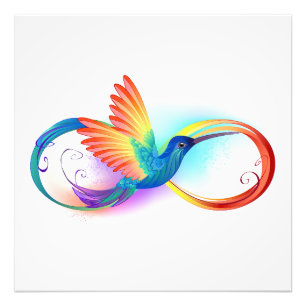 Rainbow Hummingbird mit dem Symbol Unendlichkeit Fotodruck