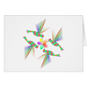 Rainbow Hummingbirds Küsst eine Blume