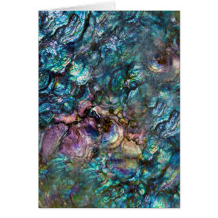 Rainbow Iridescente Abalone Sea Shell Merci