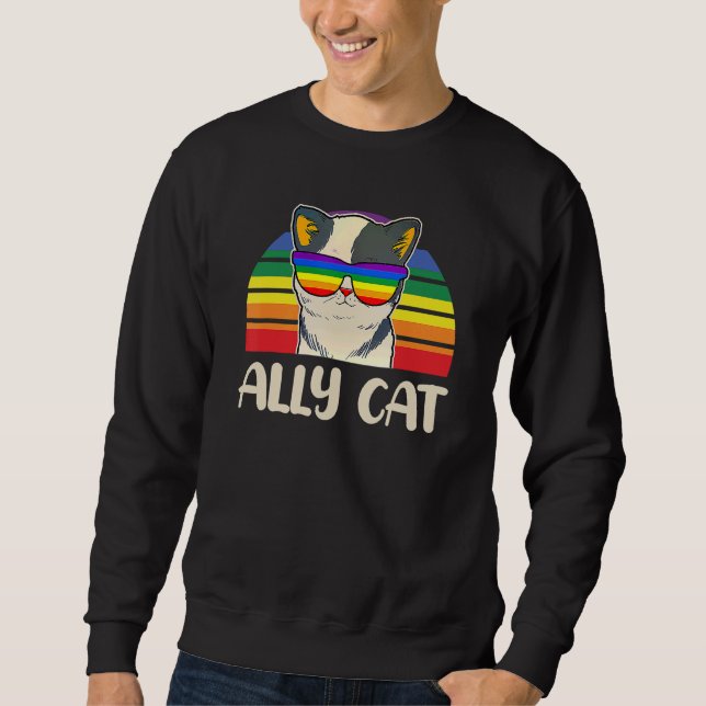 Rainbow Lgbt Gay Lesbian Trans Pride Ally Cat Glas Sweatshirt (Vorderseite)