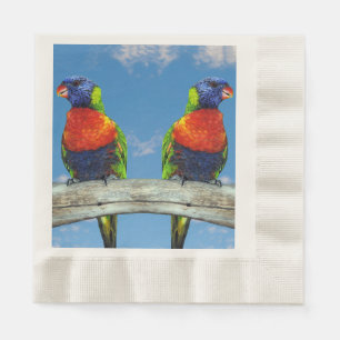 Rainbow-Lorikees, zwei auf einem Zweig Serviette