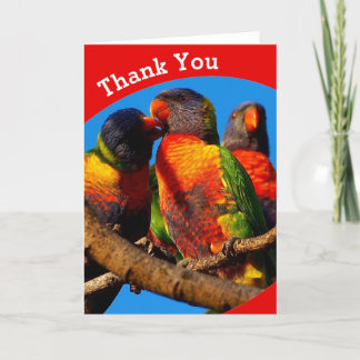 Rainbow Lorikeet blank Danke Karte