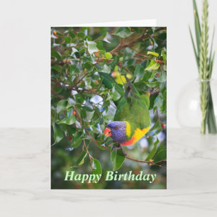 Rainbow Lorikeet Bonne carte de voeux d'anniversai