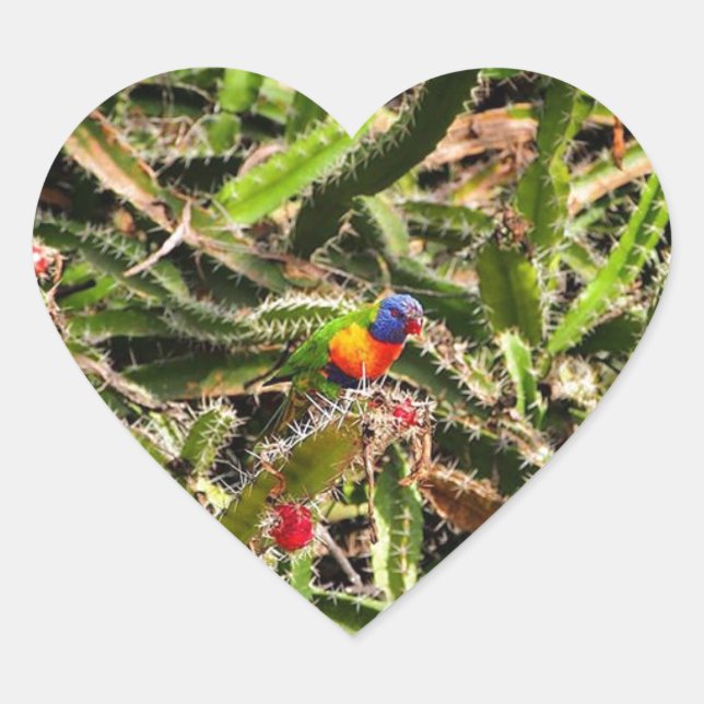 Rainbow Lorikeet in Kakteen Herzklebkleber Herz-Aufkleber (Vorderseite)